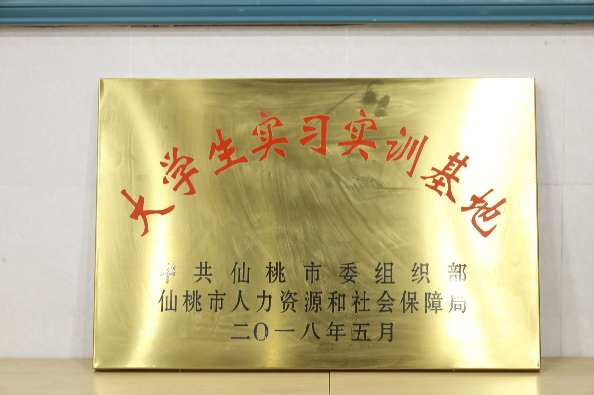 大学生实习实训基地